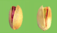 akbari pistachio
