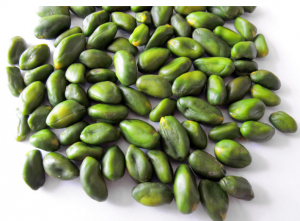 green kernel pistachio