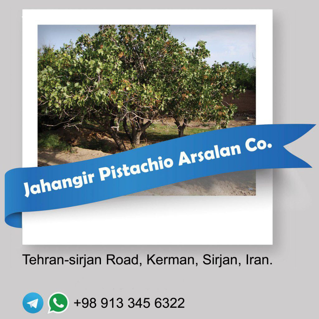 Jahangir Pistachio Arsalan Co